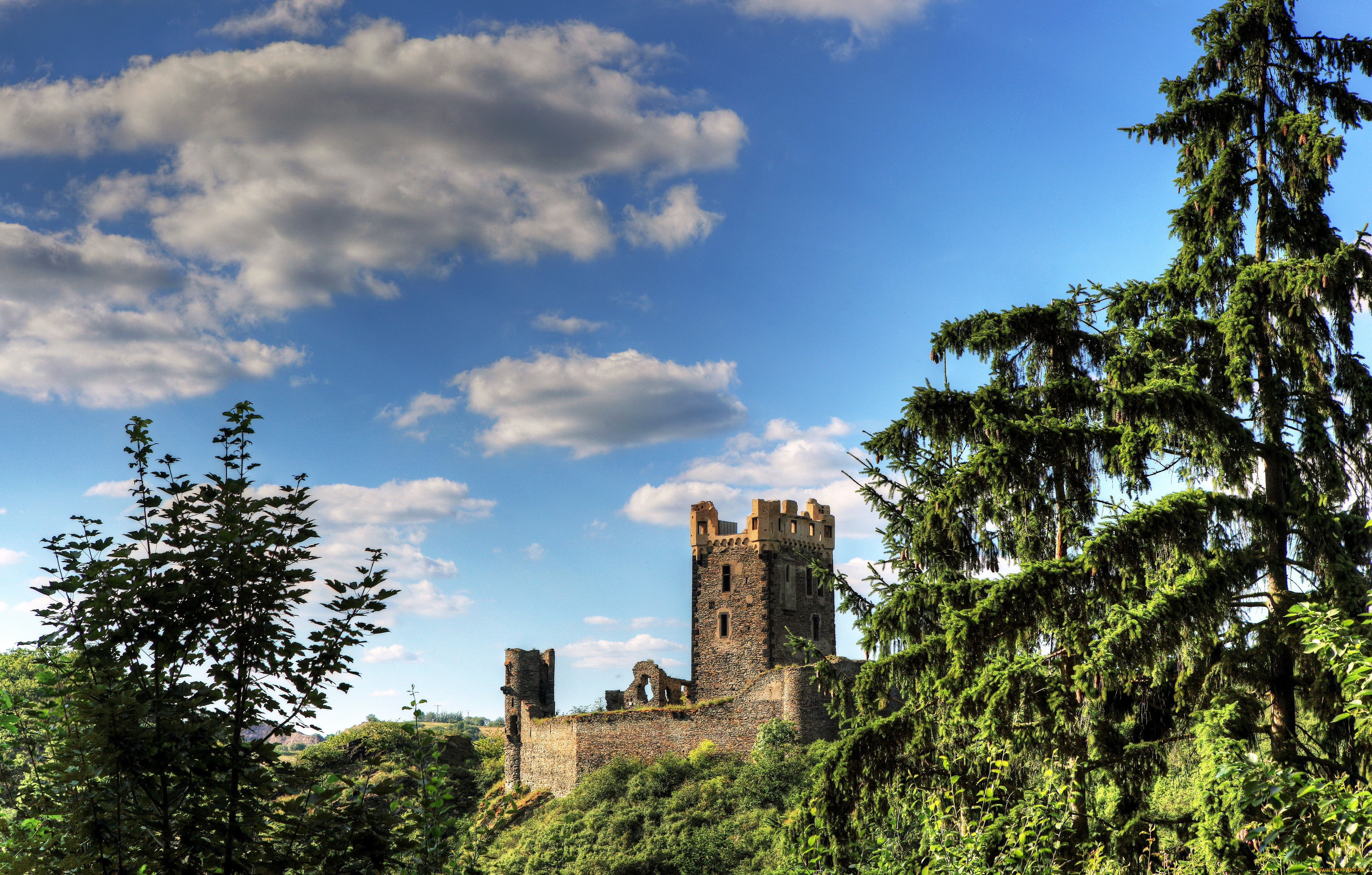 burg, wernerseck, , , , , , 